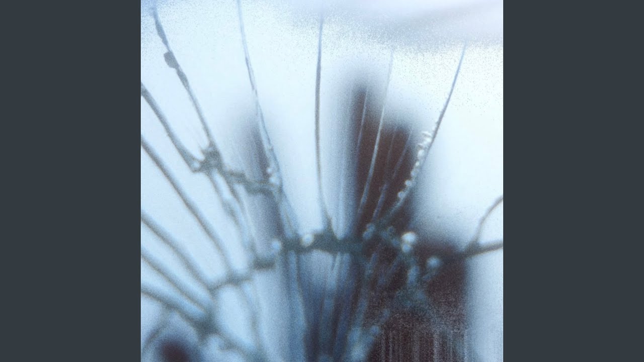 Watch hydrangea on YouTube Watch hydrangea on YouTube