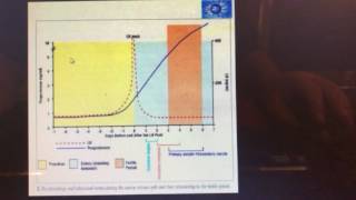 DIY, Maximize Puppy Litter Size With Progesterone Test