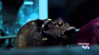 12 Monkeys Cole's Moral Sacrifice (2014) - Science Fiction Series HD.mp4