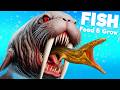 The *NEW* WALRUS is EXTREMELY OVERPOWERED! | Feed And Grow Fish