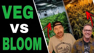 The Grow Room Setup Mistake That Comes Back to Haunt You
