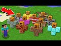 Minecraft NOOB vs PRO: WHY NOOB BUILD BIGGEST GOLEMS ARMY FROM ALL BLOCKS ? Challenge 100% trolling