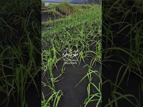 ال ذ ين آم ن وا و ع م ل وا الص ال ح ات ط وب ى ل ه م و ح س ن م آب الرعد 29