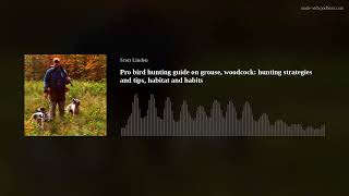 Pro bird hunting guide on grouse, woodcock: hunting strategies and tips, habitat and habits