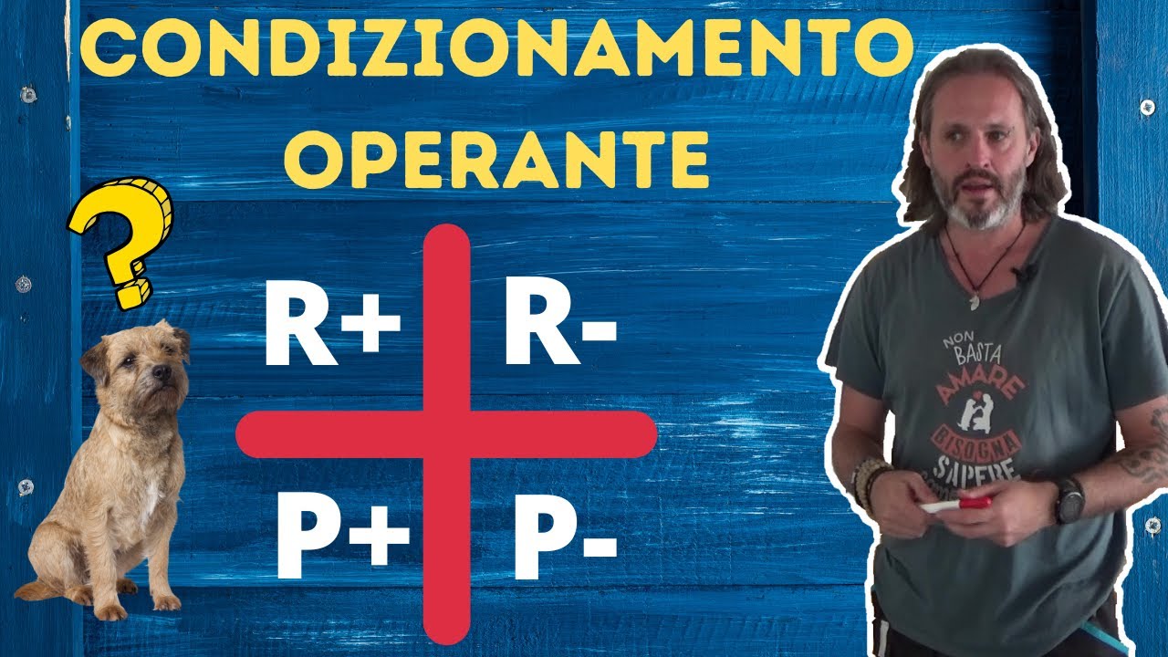 Condizionamento Operante Punizioni e Rinforzi YouTube Condizionamento Operante Punizioni e Rinforzi YouTube