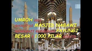 UMROH 2023  SHOLAT DI MASJID NABAWI MENIKMATI KEINDAHAN PAYUNG2 BESAR & 1000 PILAR MASJID