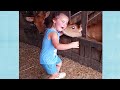 Funny Babies Playing With Animals and Result |Funny Babies Video