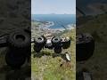 🚜 Road Roller Falls Off a Cliff and Gets Destroyed! 😱 #shorts #automobile #beamngtuf #beamngdrive