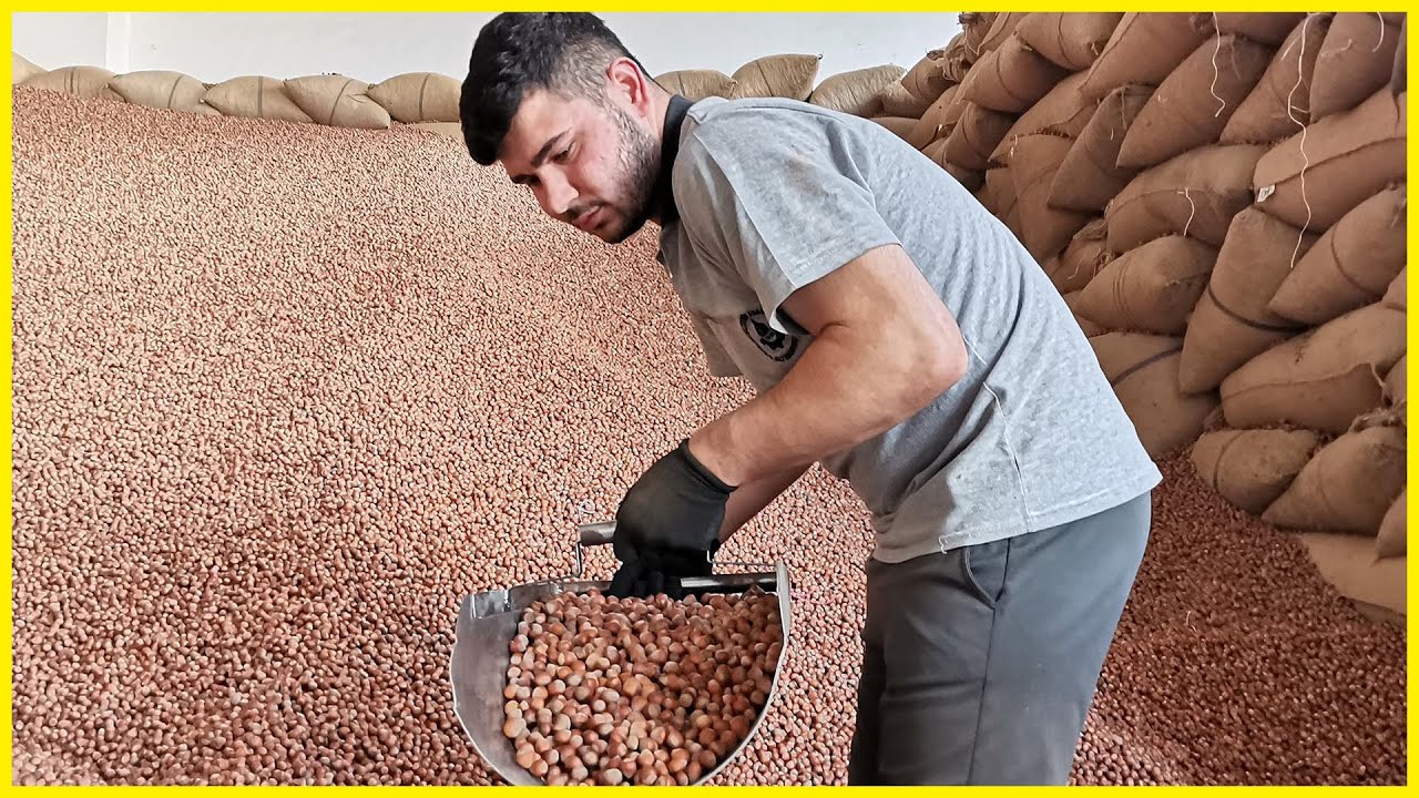 tmo-reticilerden-150-bin-ton-f-nd-k-ald-youtube