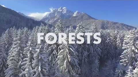 Remote Sensing of Forest Health