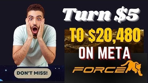 Holiverse s3 and s6 Explanation (MetaForce) Jet Team Strategy of Earning $10,000 in 90days