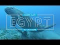 Egypt - Shams Alam 2018