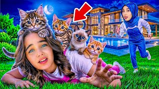 ELİF SİNEM SOKAK KEDİLERİNİ BESLEDİ ‼️