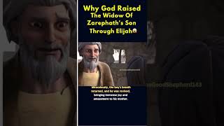 Why God Raised The Widow Of Zarephath's Son Through Elijah 🥺😱 #Shorts #Youtube #Catholic #Fypシ