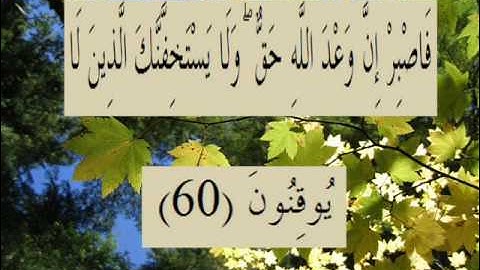 القران الكريم سورة الروم الأية 60.wmv