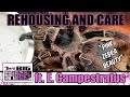 E. campestratus "Pink Zebra Beauty Rehouse" Rehouse and Husbandry Notes