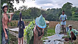 Download Lagu Hidup Di Desa‼️Aktifitas Serba Manual Tenaga Manusia,Keindahan\u0026Tradisional ,Perkampungan Suku Jawa MP3