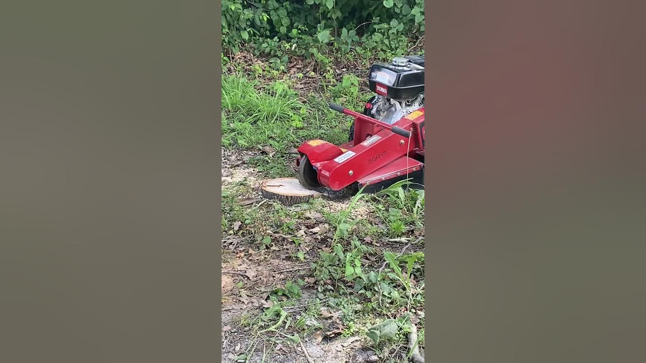 Home Depot stump grinder YouTube