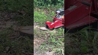 Home Depot stump grinder