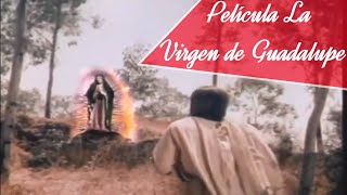 Película "La Virgen de Guadalupe" Narra la Historia de las Apariciones de la Virgen de Guadalupe screenshot 4