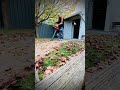 Autumn clean up…