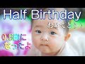 【生後183日】ハーフバースデー、ゴロちゃん！ ～0.5歳になりました～ Happy half birthday! [183 days after birth]