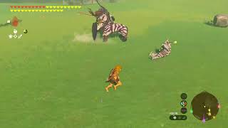 Lynels fighting against enemies  Test