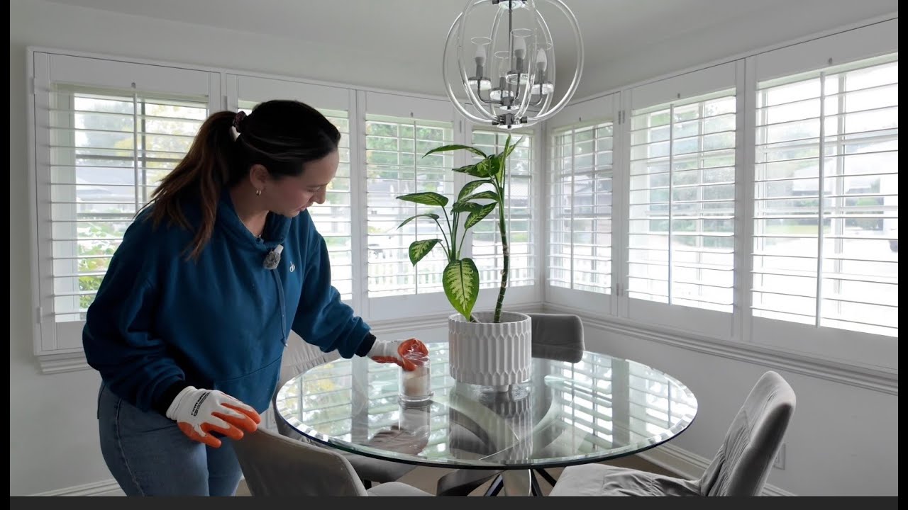 Así es lo que tiran los ricos… ¡y nosotros lo salvamos!” 💰🪑