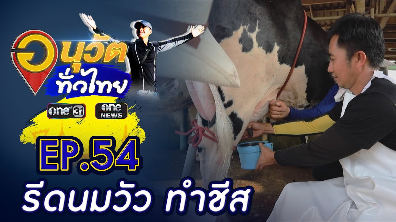 รีดนมวัว เปิดสูตรลับทำชีส | อนุวัตทั่วไทย | EP 54 | ข่าวช่องวัน | one31