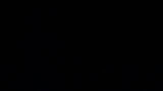 2023 Chicks - 4 weeks, 1 Day Old Net Worth