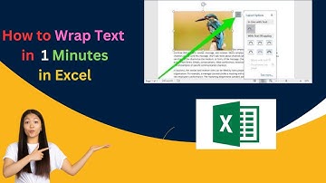 How to wrap text in excel by multiple method