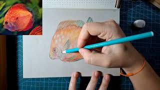 Drawing a fish and chatting. screenshot 5