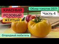 ОБЗОР ТОМАТОВ 2021 // часть 4 // КРАСНЫЙ, РОЗОВЫЙ, ЖЁЛТЫЙ