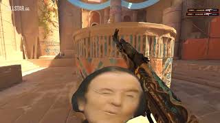 Anubis ACE