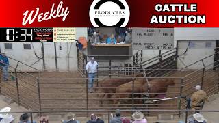 San Angelo Cattle Auction LIVE | Producers Livestock Market | Feb 19, 2026