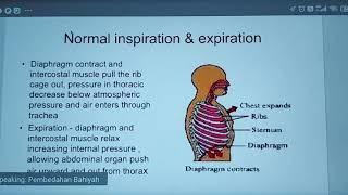 Management of Rib Fracture and Flail Chest.