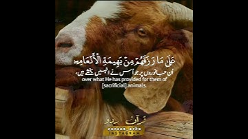 سورة الحج: ٢٧-٢٩| عمير شميم | Surah Al Hajj: 27-29 || Umair Shamim