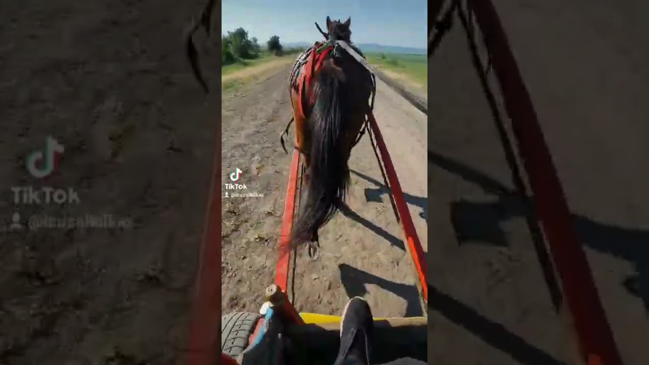 коня на Исус от съдиево