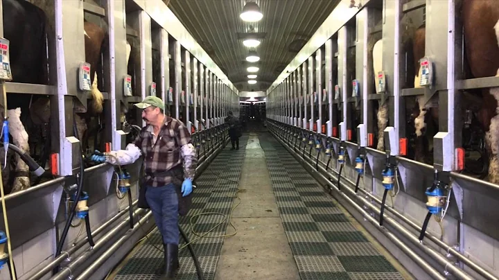Dairy farm produces own power