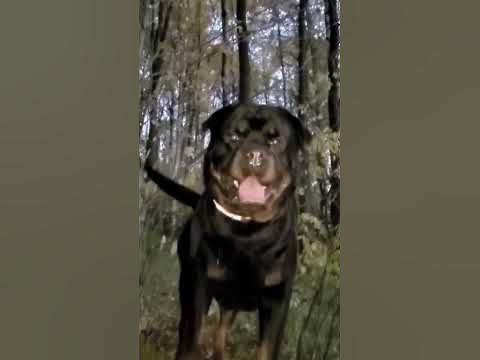 Дюша с габаритными огнями - YouTube