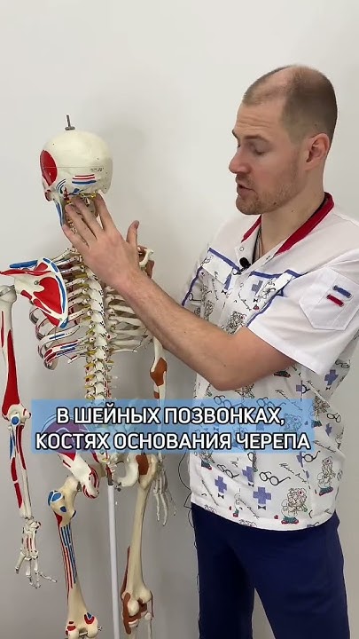 Как это делает врач-остеопат? Смотрите мои видео про остеопатические ...