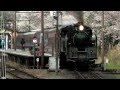 大井川鉄道 SL 家山桜まつり2013