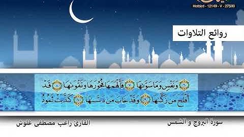 القارئ راغب مصطفى غلوش ـ سورة البروج والشمس