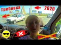 ГРИБОВКА 2020 Карантин в Украине Одесская область Автодом Самоизоляция Кемпинг