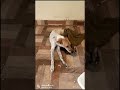 Plz help cheyandi frnds🙏🥺#shorts #youtubeshorts #dog #rescue #viralvideo #doglover