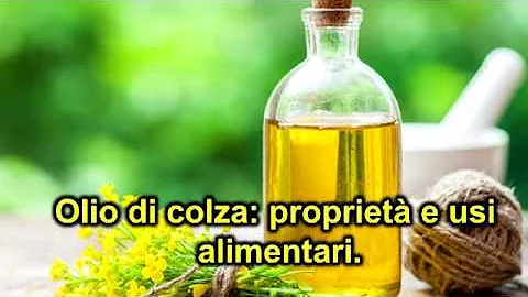 Per cosa si usa olio di colza?