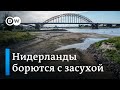 Аномальная жара в Европе и глобальное потепление: как Нидерланды борются с экстремальной засухой