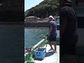 【クエ釣り】カラスにエサをやったら、お返しが凄かった #Shorts