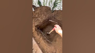 Our new compost hole is just about ready.  Still work to do #digging #compost #grounding