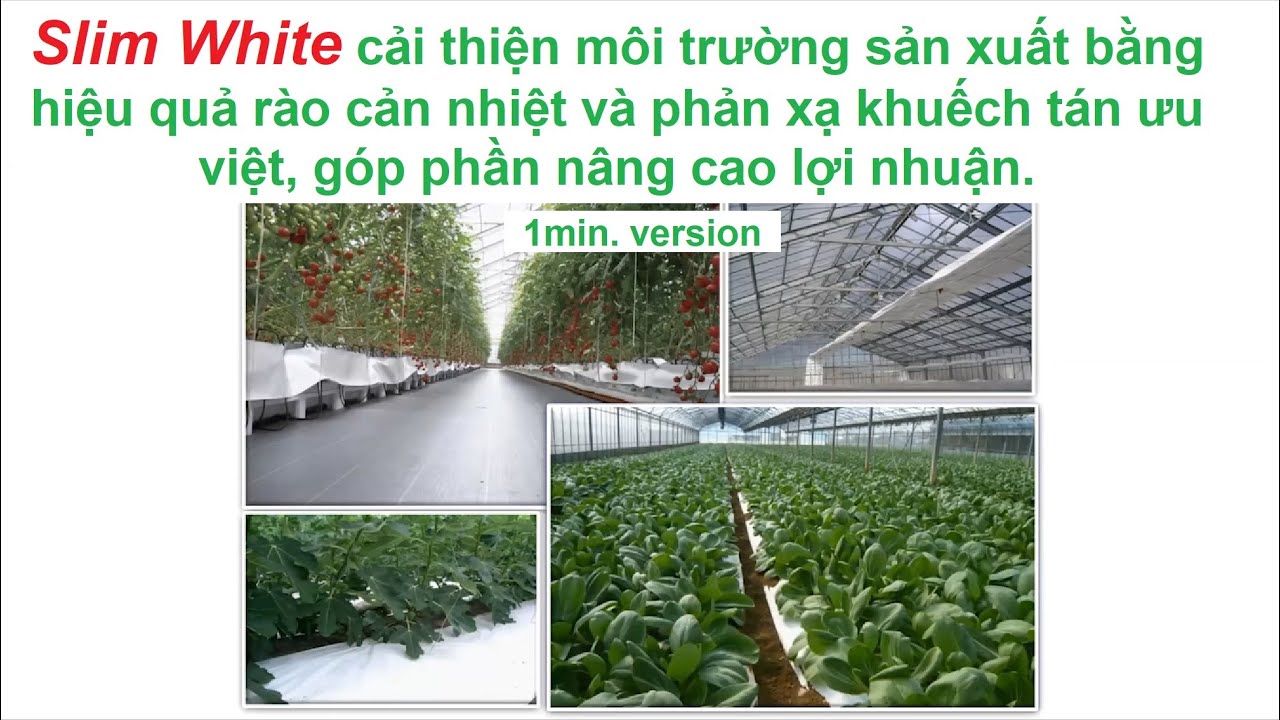 【MBC 1min 】Slim White cải thiện môi trường sản xuất bằng hiệu quả rào cản  nhiệt và phản xạ khuếch tá